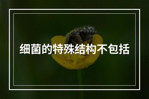 细菌的特殊结构不包括