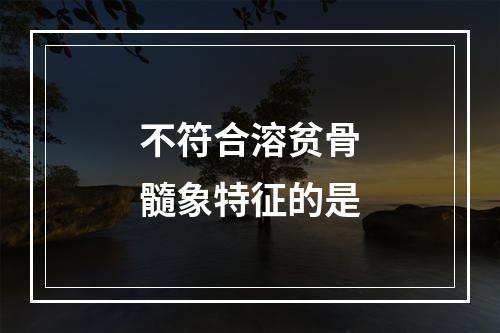 不符合溶贫骨髓象特征的是