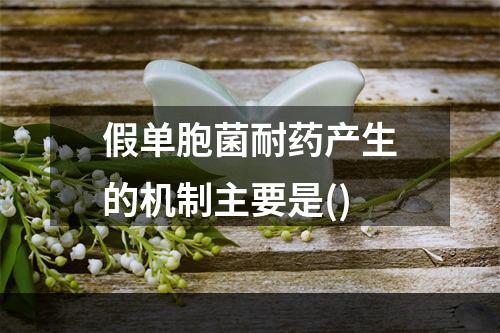 假单胞菌耐药产生的机制主要是()