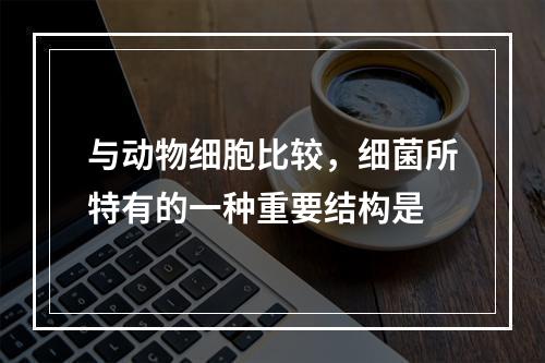 与动物细胞比较，细菌所特有的一种重要结构是