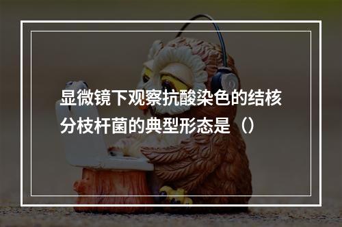 显微镜下观察抗酸染色的结核分枝杆菌的典型形态是（）