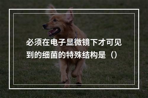 必须在电子显微镜下才可见到的细菌的特殊结构是（）