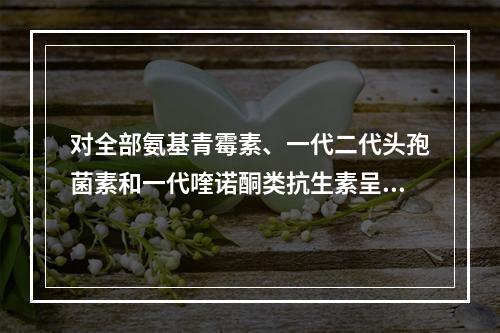 对全部氨基青霉素、一代二代头孢菌素和一代喹诺酮类抗生素呈天然