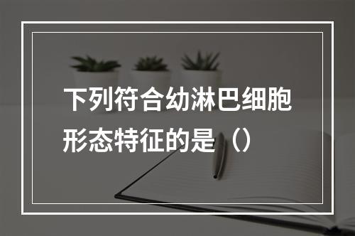 下列符合幼淋巴细胞形态特征的是（）