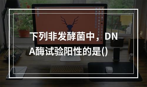 下列非发酵菌中，DNA酶试验阳性的是()