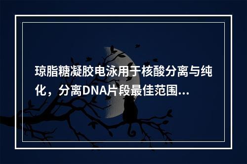 琼脂糖凝胶电泳用于核酸分离与纯化，分离DNA片段最佳范围为