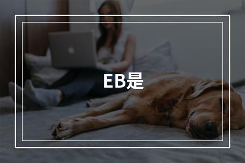 EB是