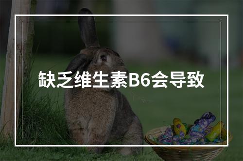 缺乏维生素B6会导致