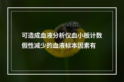 可造成血液分析仪血小板计数假性减少的血液标本因素有