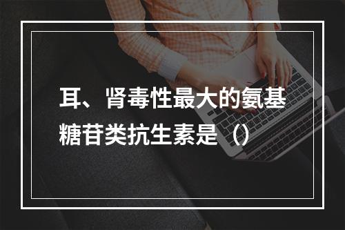 耳、肾毒性最大的氨基糖苷类抗生素是（）