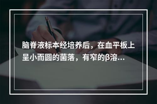 脑脊液标本经培养后，在血平板上呈小而圆的菌落，有窄的β溶血环