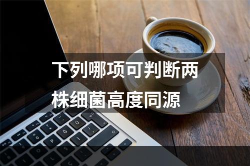 下列哪项可判断两株细菌高度同源