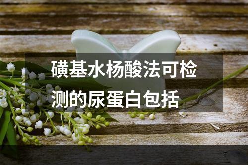 磺基水杨酸法可检测的尿蛋白包括