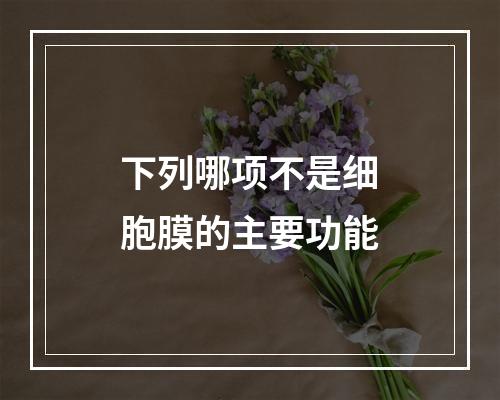 下列哪项不是细胞膜的主要功能