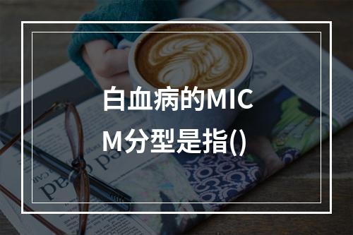 白血病的MICM分型是指()