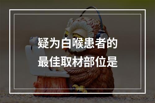 疑为白喉患者的最佳取材部位是