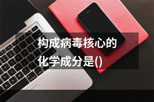 构成病毒核心的化学成分是()