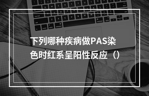 下列哪种疾病做PAS染色时红系呈阳性反应（）