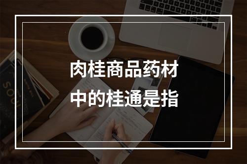 肉桂商品药材中的桂通是指