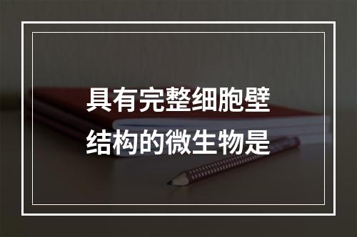 具有完整细胞壁结构的微生物是