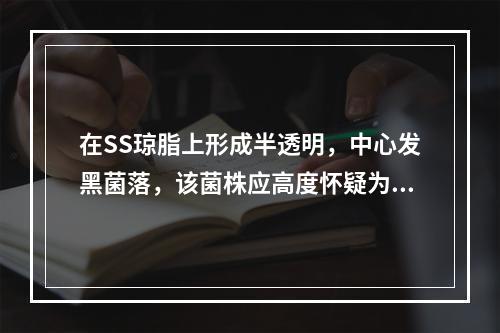 在SS琼脂上形成半透明，中心发黑菌落，该菌株应高度怀疑为()