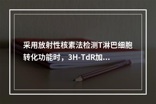 采用放射性核素法检测T淋巴细胞转化功能时，3H-TdR加入至