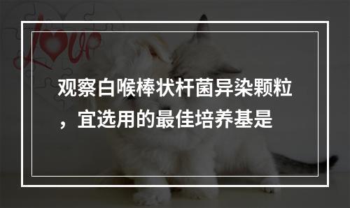 观察白喉棒状杆菌异染颗粒，宜选用的最佳培养基是