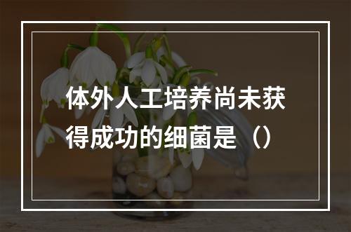 体外人工培养尚未获得成功的细菌是（）