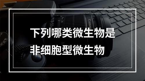 下列哪类微生物是非细胞型微生物