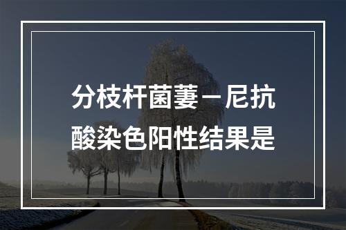 分枝杆菌萋－尼抗酸染色阳性结果是