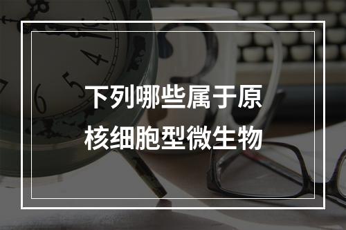 下列哪些属于原核细胞型微生物