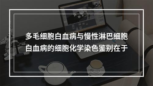 多毛细胞白血病与慢性淋巴细胞白血病的细胞化学染色鉴别在于