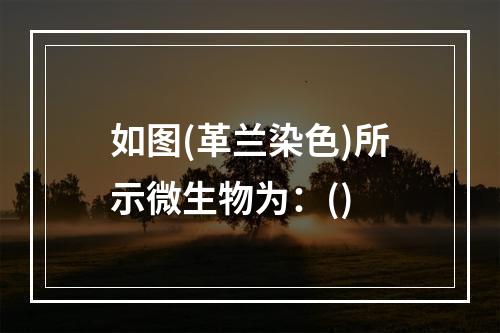 如图(革兰染色)所示微生物为：()