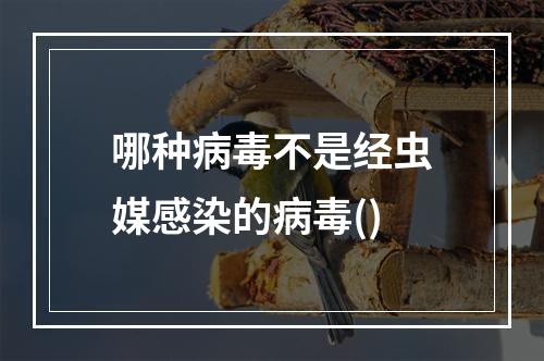 哪种病毒不是经虫媒感染的病毒()