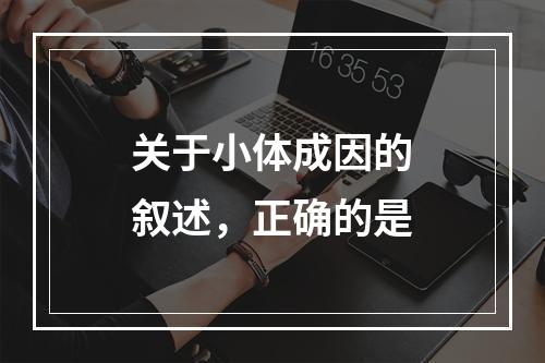 关于小体成因的叙述，正确的是