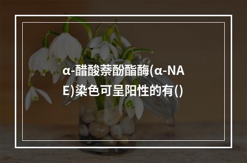 α-醋酸萘酚酯酶(α-NAE)染色可呈阳性的有()