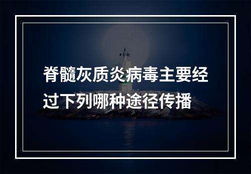 脊髓灰质炎病毒主要经过下列哪种途径传播