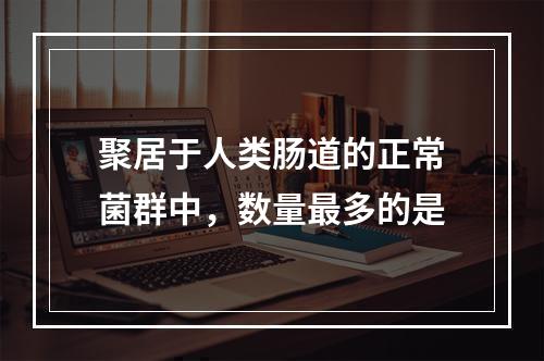 聚居于人类肠道的正常菌群中，数量最多的是