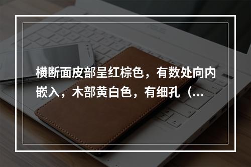 横断面皮部呈红棕色，有数处向内嵌入，木部黄白色，有细孔（导管