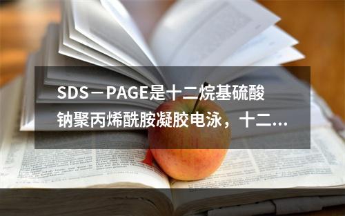 SDS－PAGE是十二烷基硫酸钠聚丙烯酰胺凝胶电泳，十二烷基