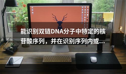 能识别双链DNA分子中特定的核苷酸序列，并在识别序列内或附近