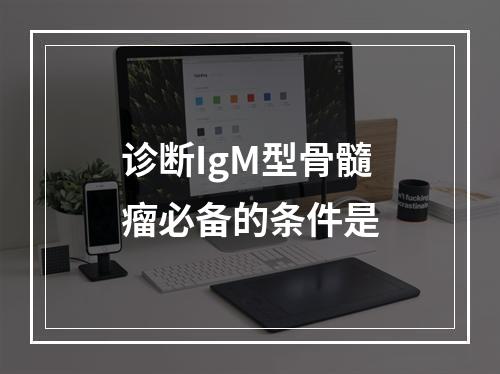 诊断IgM型骨髓瘤必备的条件是