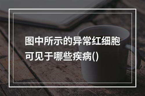 图中所示的异常红细胞可见于哪些疾病()