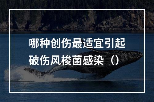 哪种创伤最适宜引起破伤风梭菌感染（）