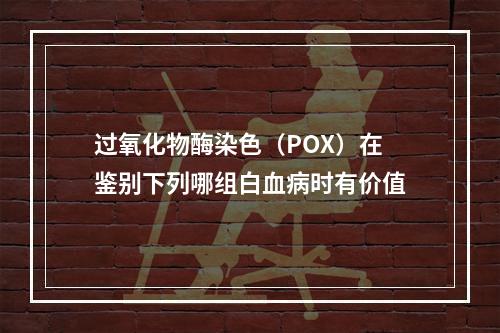 过氧化物酶染色（POX）在鉴别下列哪组白血病时有价值