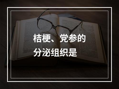 桔梗、党参的分泌组织是