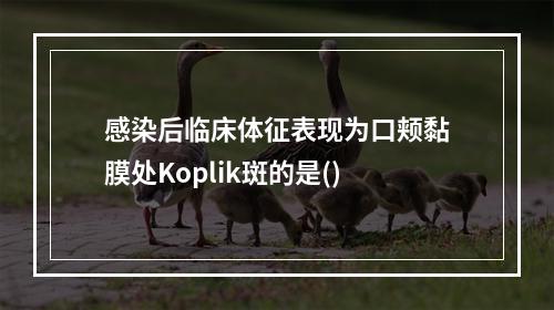 感染后临床体征表现为口颊黏膜处Koplik斑的是()