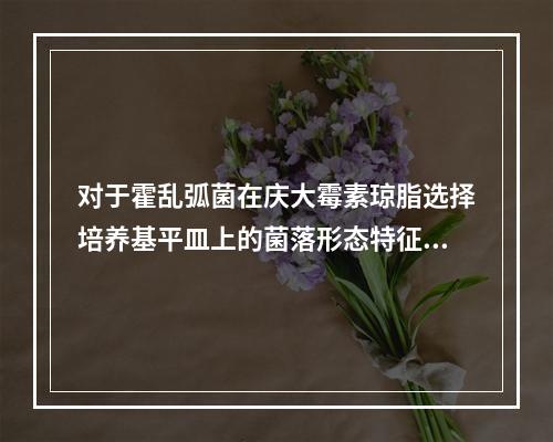 对于霍乱弧菌在庆大霉素琼脂选择培养基平皿上的菌落形态特征，叙