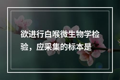 欲进行白喉微生物学检验，应采集的标本是