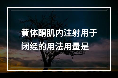 黄体酮肌内注射用于闭经的用法用量是